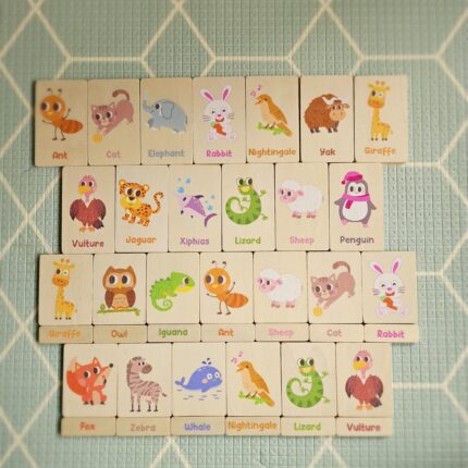 Montessori Animal Learning Set -376